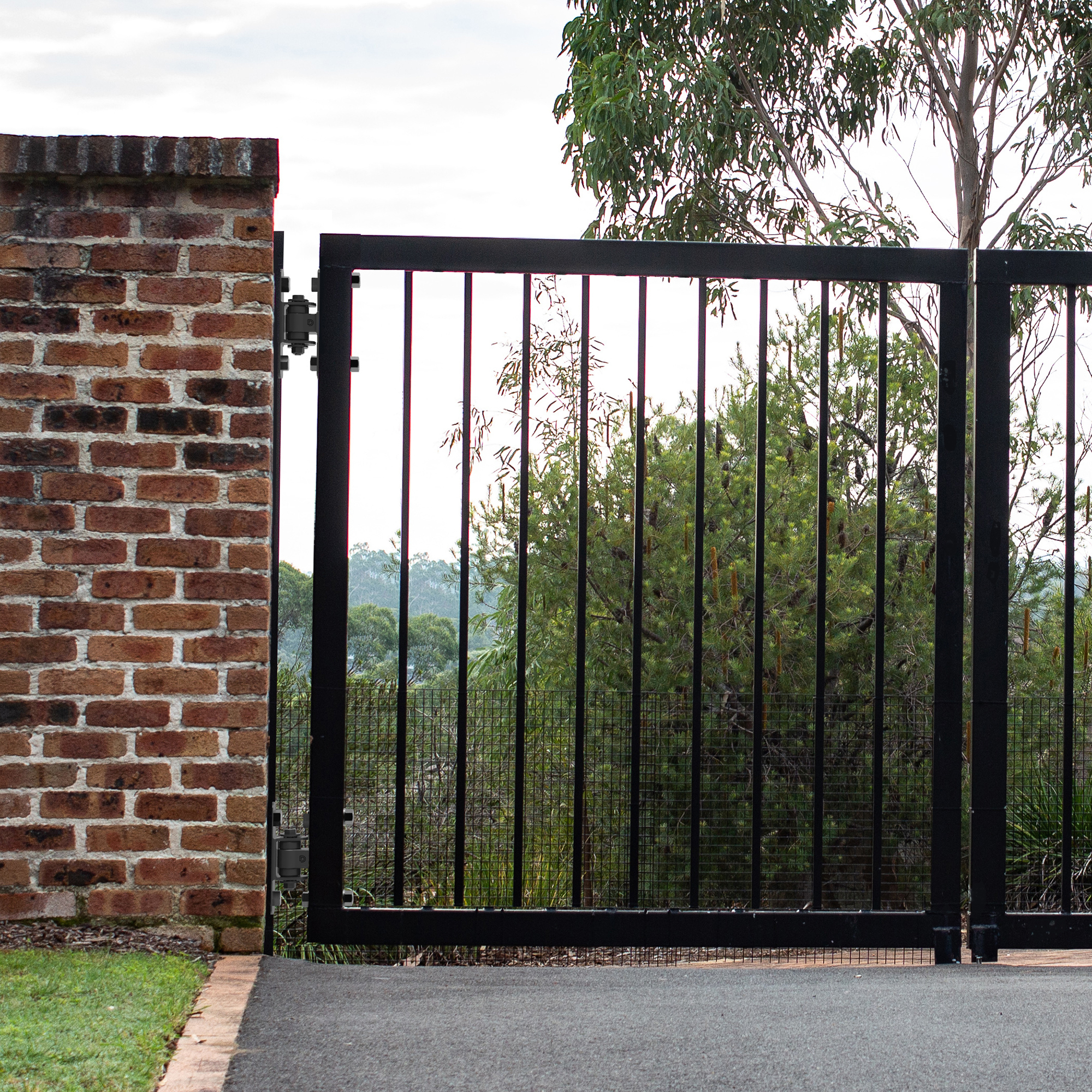 Image: No description