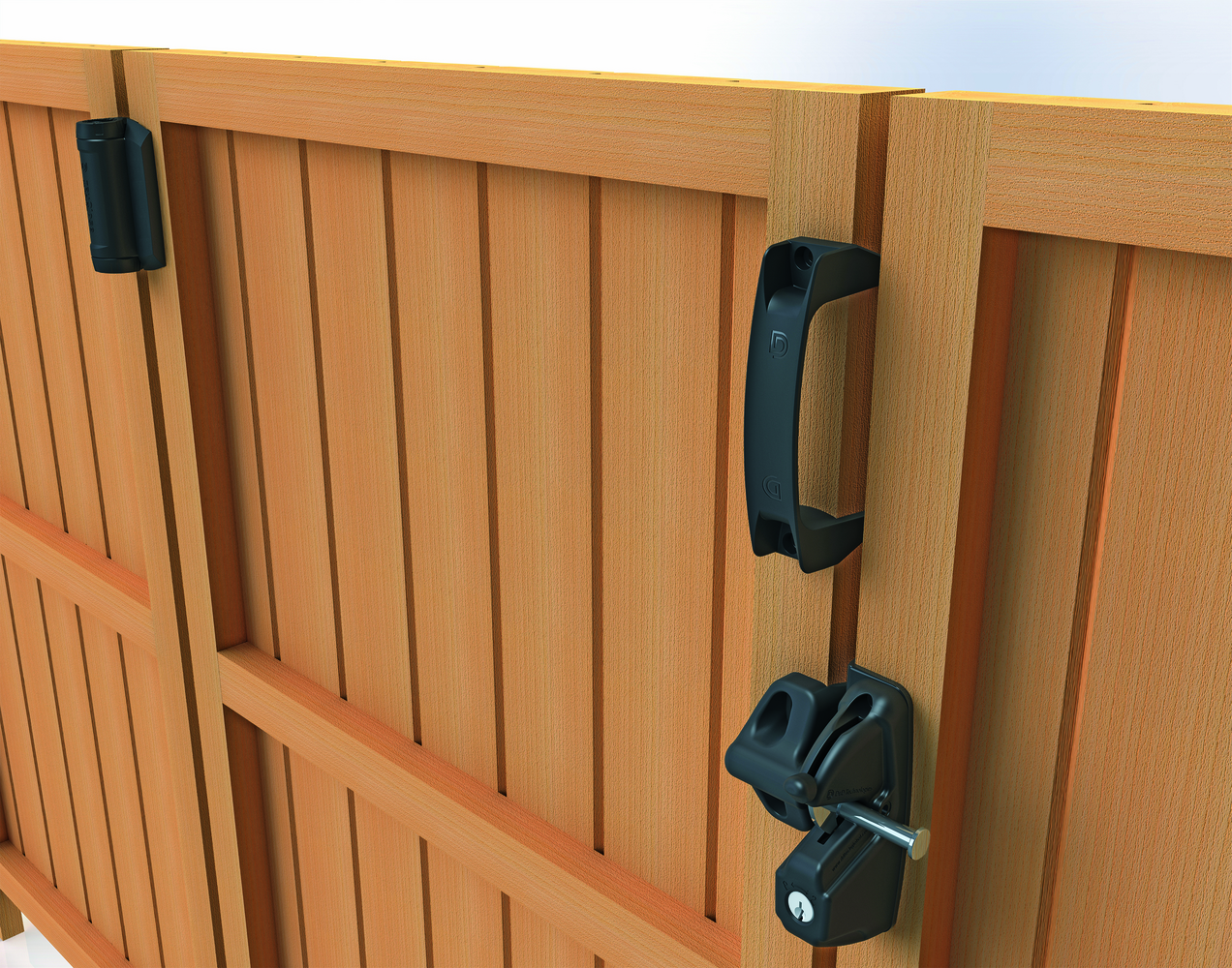 Image: No description