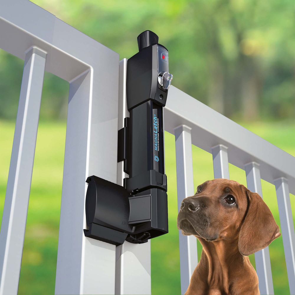 Image: No description