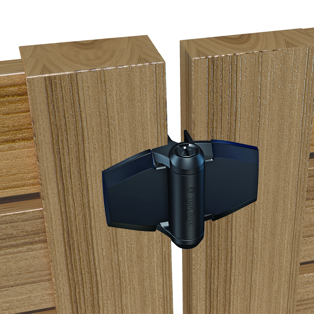 Image: No description